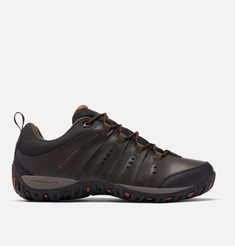 Men's Woodburn II Waterproof Shoe, Color: Cordovan, Cinnamon, image 1