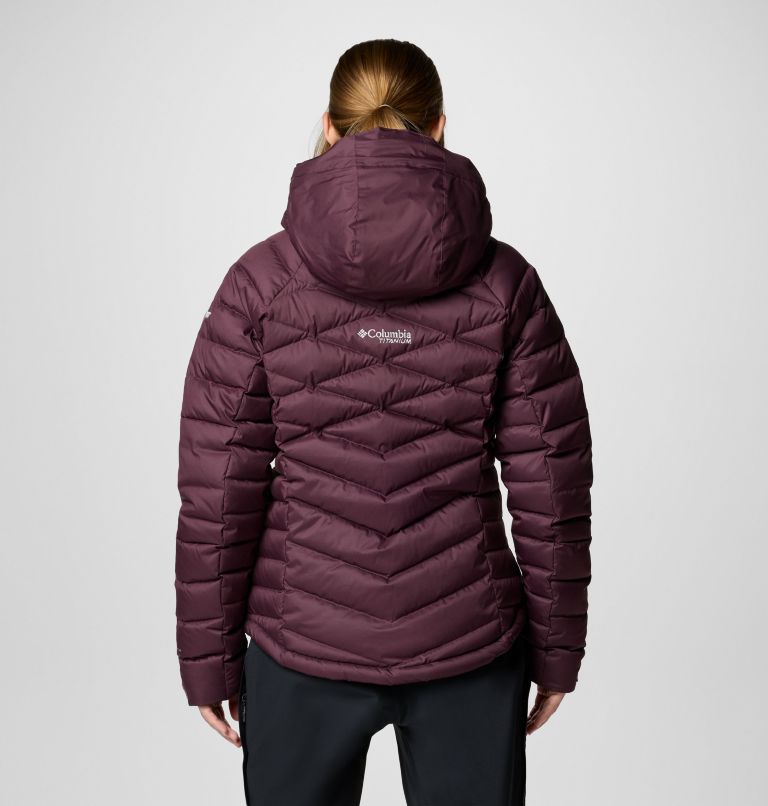 Women's Roaring Fork II Waterproof Down Ski Jacket, Color: Moonvista, image 2